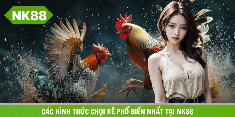 Các hình thức đá gà NK88 phổ biến nhất dành cho bạn